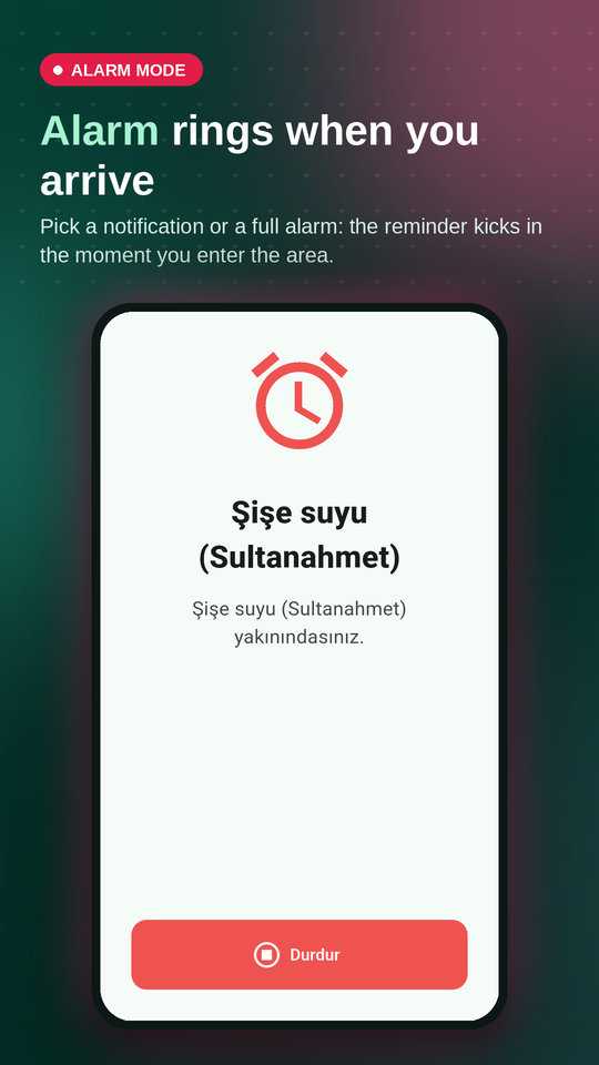 Full-screen alarm