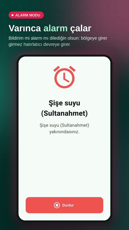 Tam ekran alarm